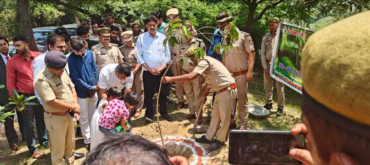 विश्व पर्यावरण दिवस पर जिलाधिकारी ने किया वृक्षारोपण